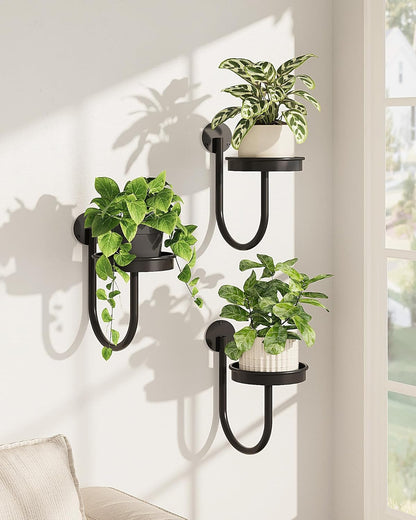 Wall Plant Holder for Hanging Planters, Black, 3Pcs | Thickened Metal, Heavy-Duty, Rust Resistant, Anti-Fall, Space-Saving, Easy Assembly, Indoor & Outdoor Home Decor