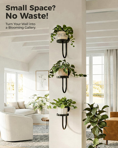 Wall Plant Holder for Hanging Planters, Black, 3Pcs | Thickened Metal, Heavy-Duty, Rust Resistant, Anti-Fall, Space-Saving, Easy Assembly, Indoor & Outdoor Home Decor