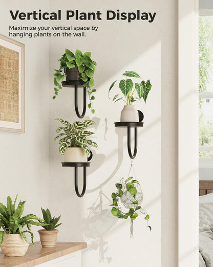 Wall Plant Holder for Hanging Planters, Black, 3Pcs | Thickened Metal, Heavy-Duty, Rust Resistant, Anti-Fall, Space-Saving, Easy Assembly, Indoor & Outdoor Home Decor
