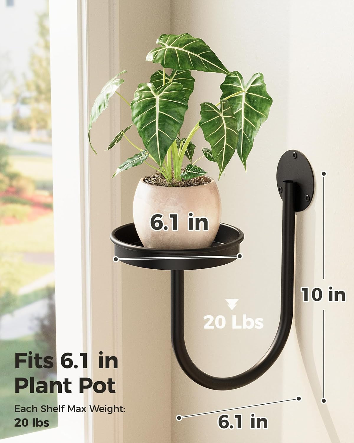 Wall Plant Holder for Hanging Planters, Black, 3Pcs | Thickened Metal, Heavy-Duty, Rust Resistant, Anti-Fall, Space-Saving, Easy Assembly, Indoor & Outdoor Home Decor
