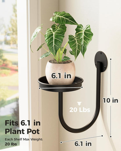 Wall Plant Holder for Hanging Planters, Black, 3Pcs | Thickened Metal, Heavy-Duty, Rust Resistant, Anti-Fall, Space-Saving, Easy Assembly, Indoor & Outdoor Home Decor